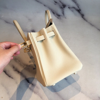 Top Handle Bag